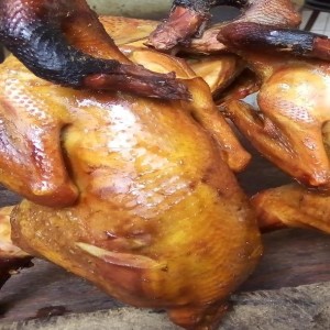 Pintade