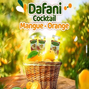 Mangue-Orange 0,5 Litre