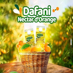 Nectar d'Orange 0,5 Litre