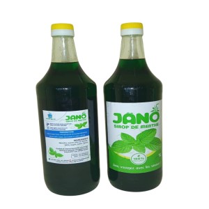 Sirop de Menthe 1 litre