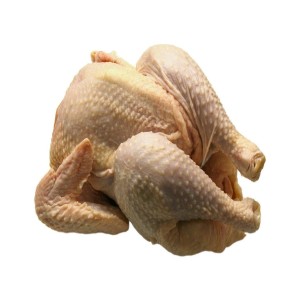 Poulet chair 1,3 à 1,4 kg